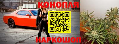 гашик Краснознаменск