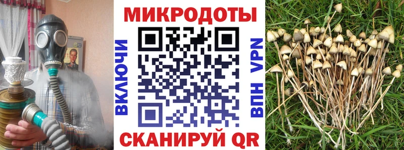 Галлюциногенные грибы мухоморы  Коркино 