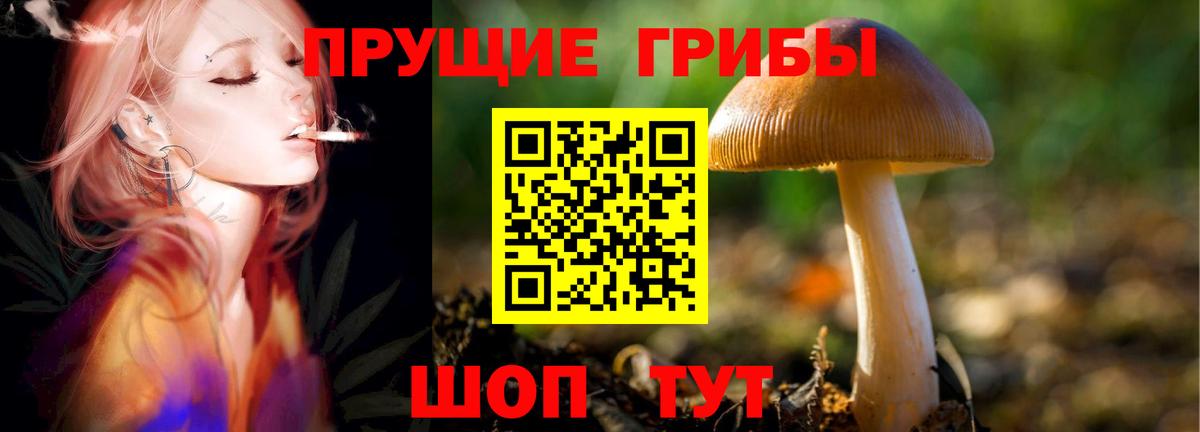 Галлюциногенные грибы ЛСД  Вход с VPN  Галлюциногенные грибы Cubensis  Коркино 